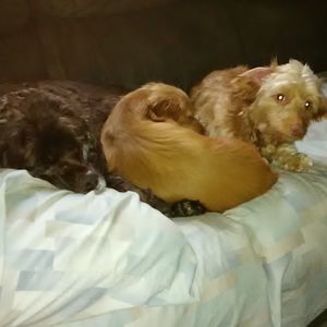 Meet your Posher, Sally